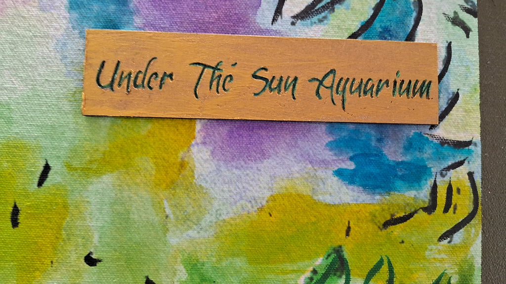 UNDER THE SUN EQUARIUM ( UDAIPUR )